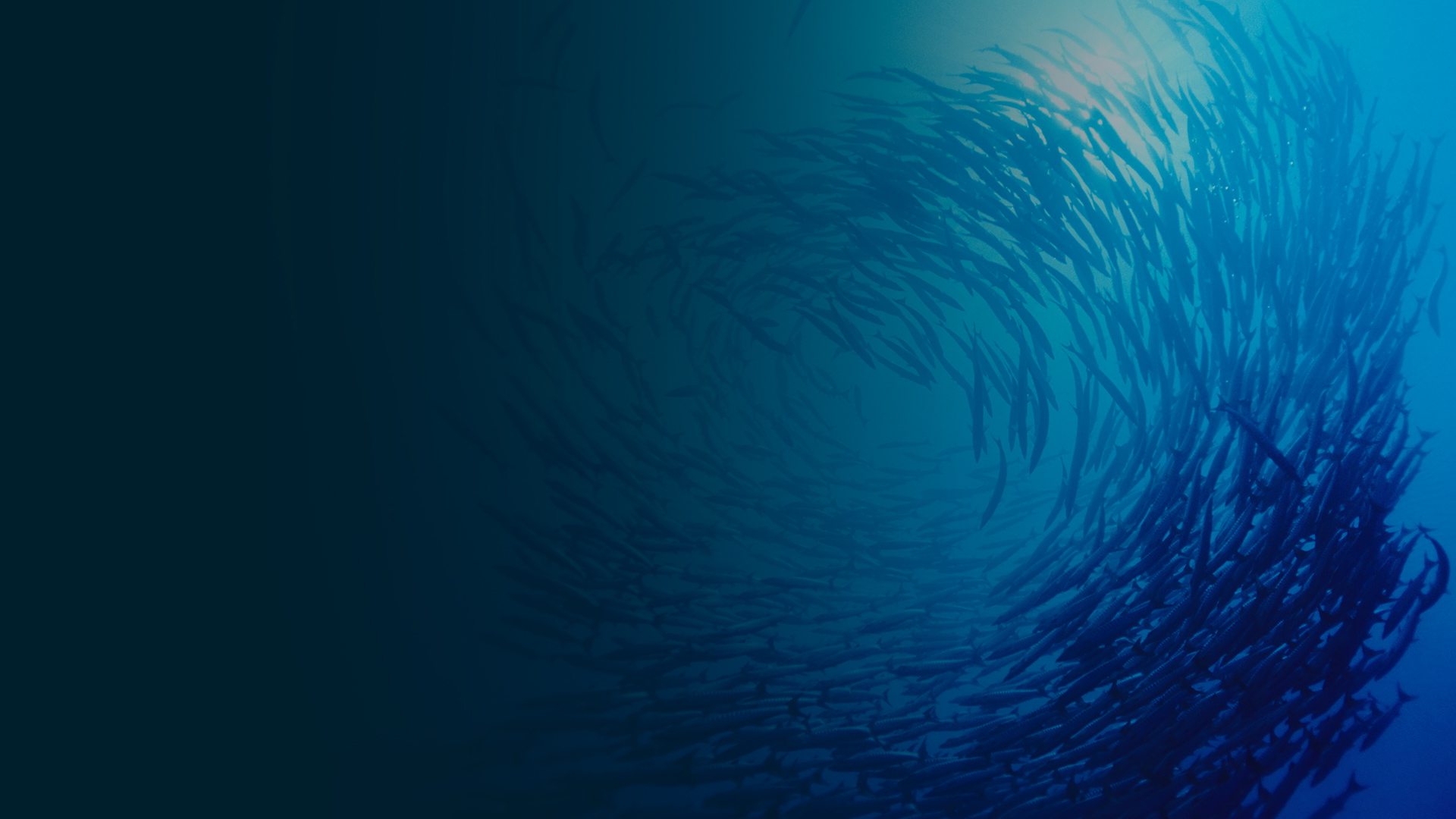   Maritime and Aquatic