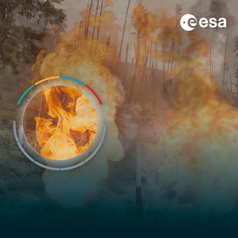 Wildfires And Commercial Space-based Solutions