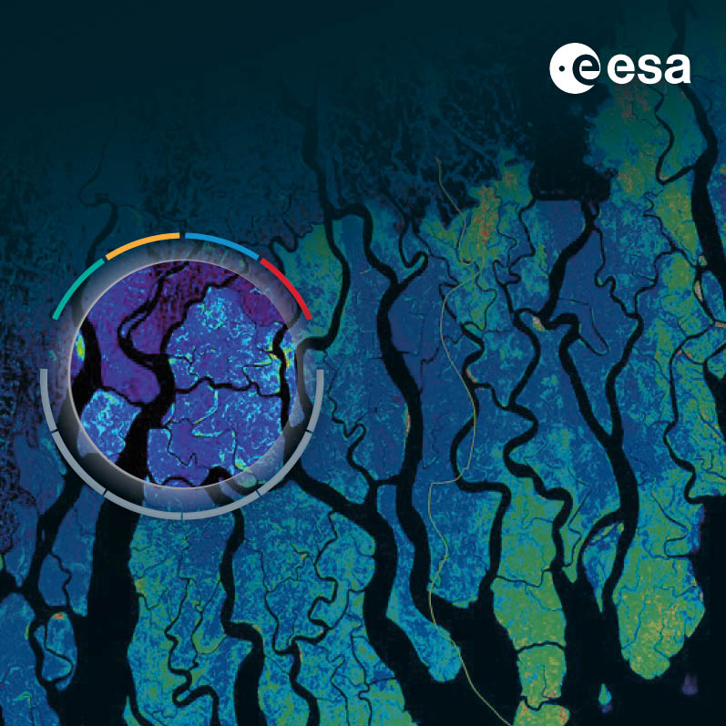 Commercial space opportunities for sustainability: the case...