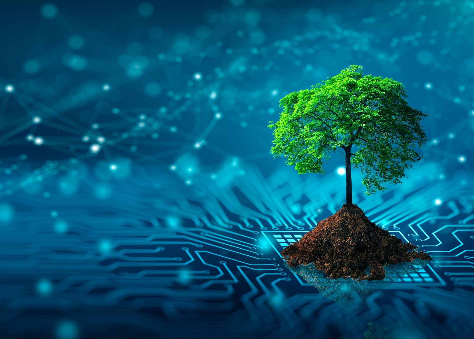SUSTAINABILITY IMPACTS STUDIES OF SELECTED ESA ACTIVITIES
